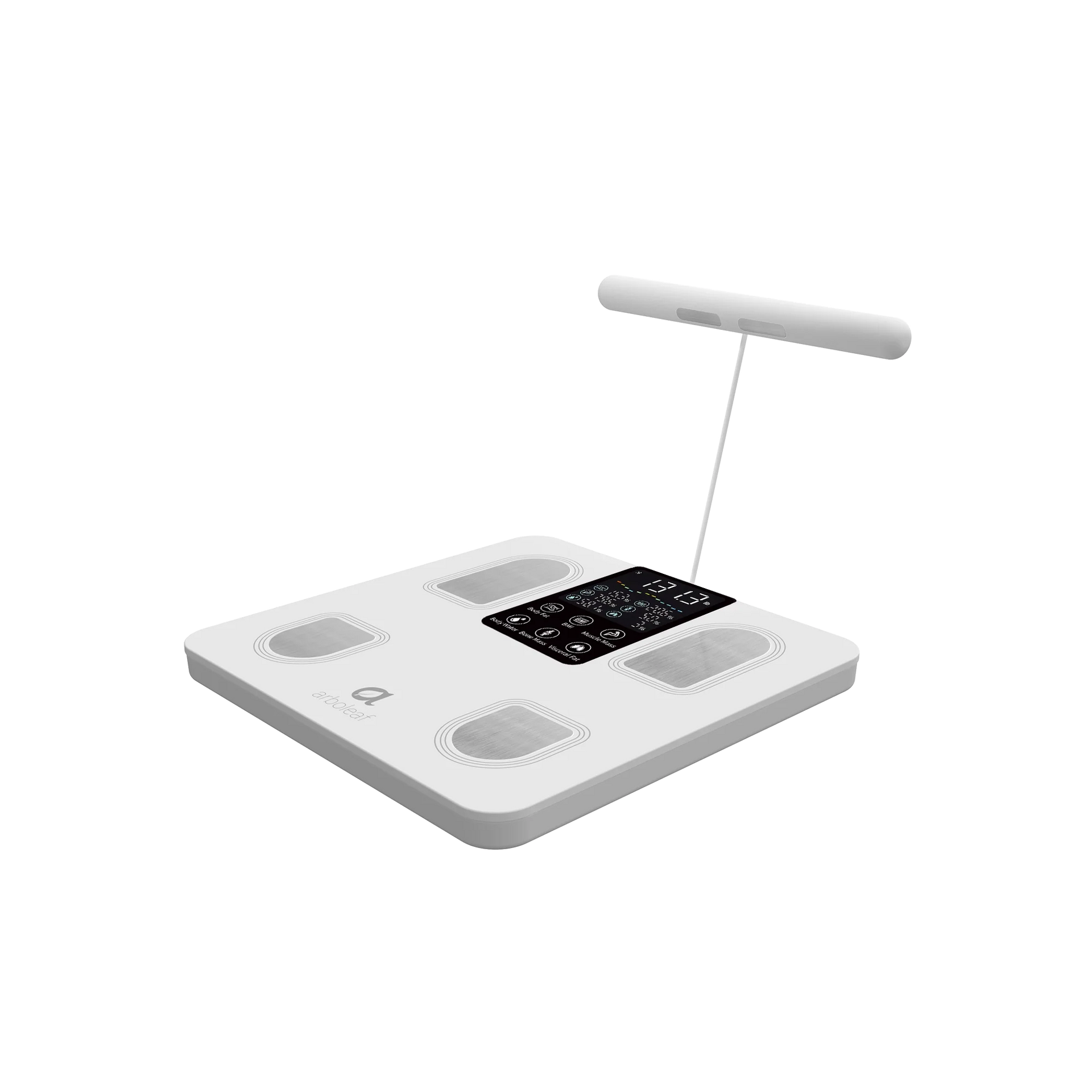 CS10E Segmental Smart Scale Body Composition Monitor