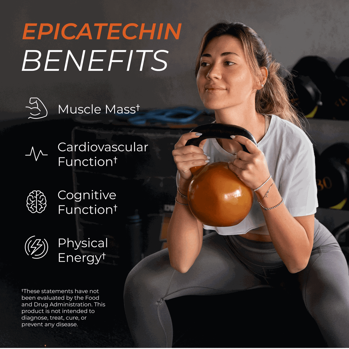 Epicatechin Supplement Capsules For Fitness Muscle Support