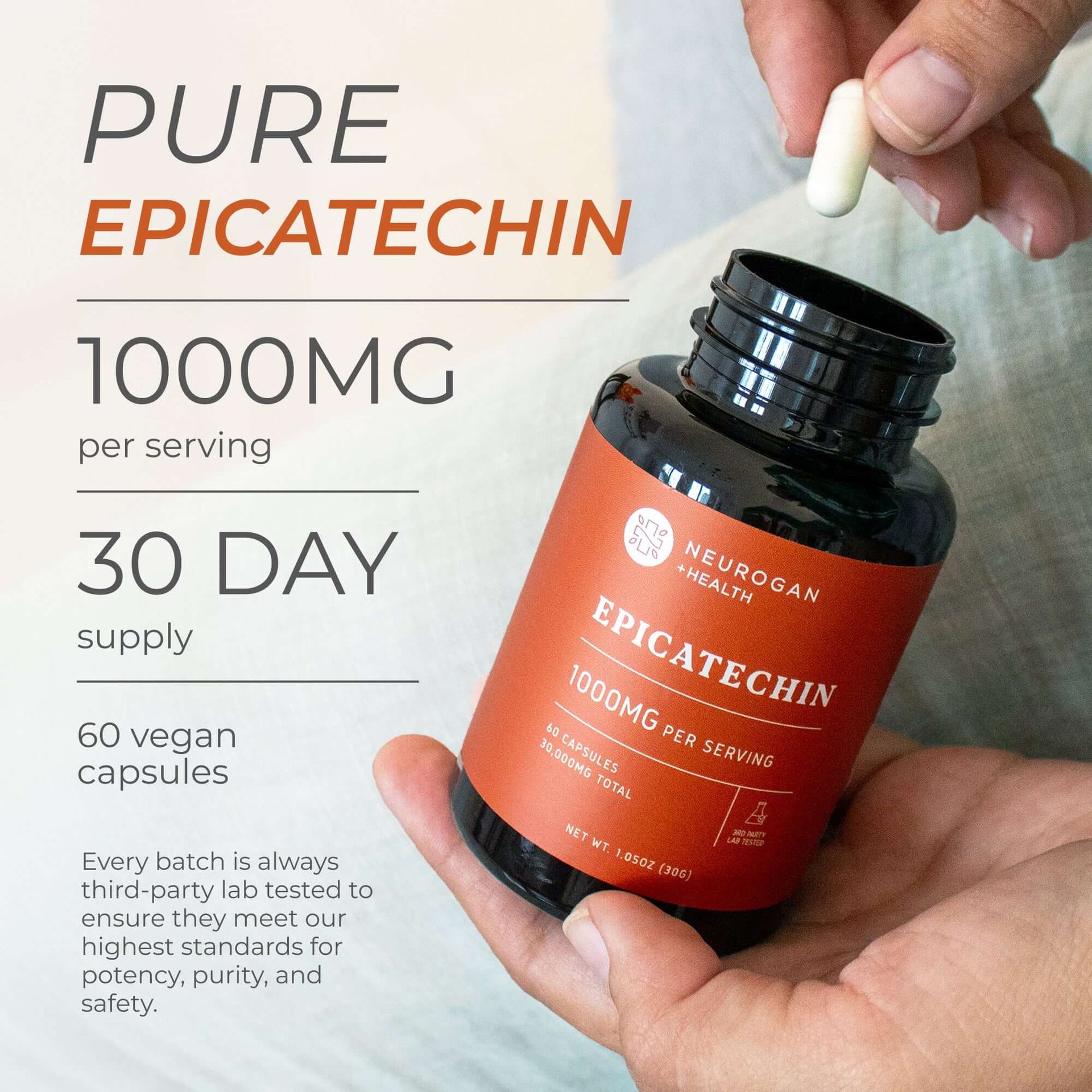 Epicatechin Supplement Capsules For Fitness Muscle Support