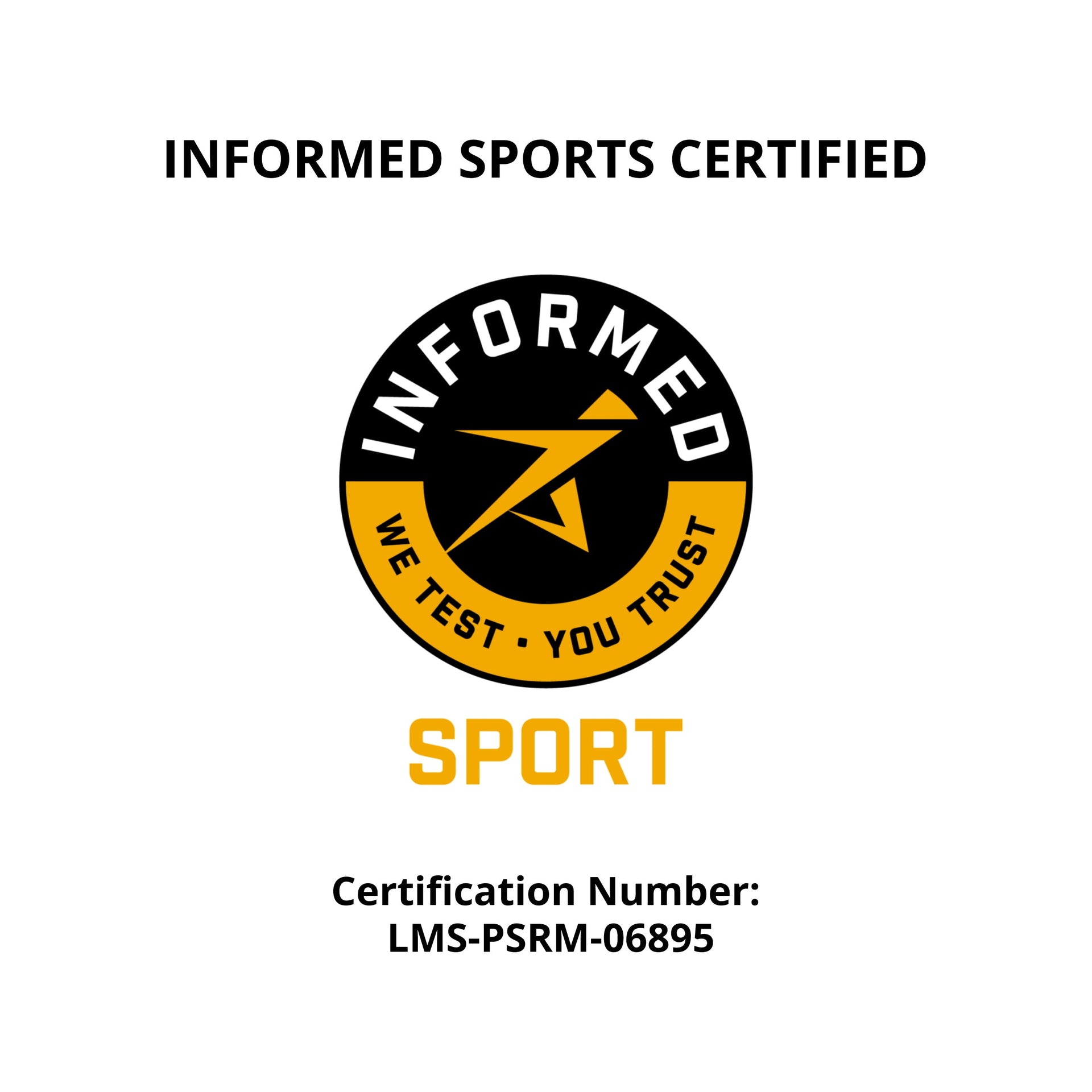Plant Based Sport Protein For Active Fitness Support