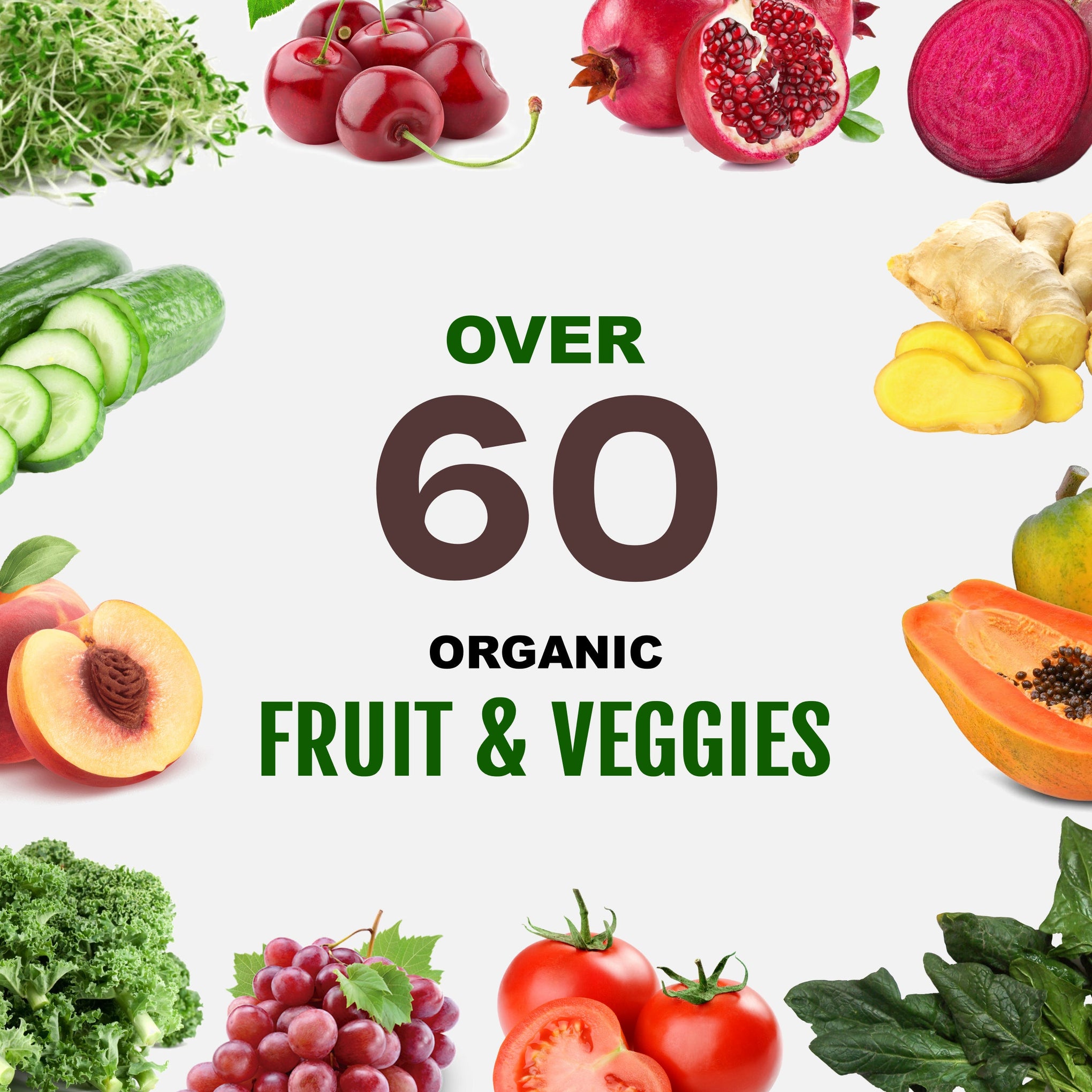 Plant Based Sport Protein For Active Fitness Support