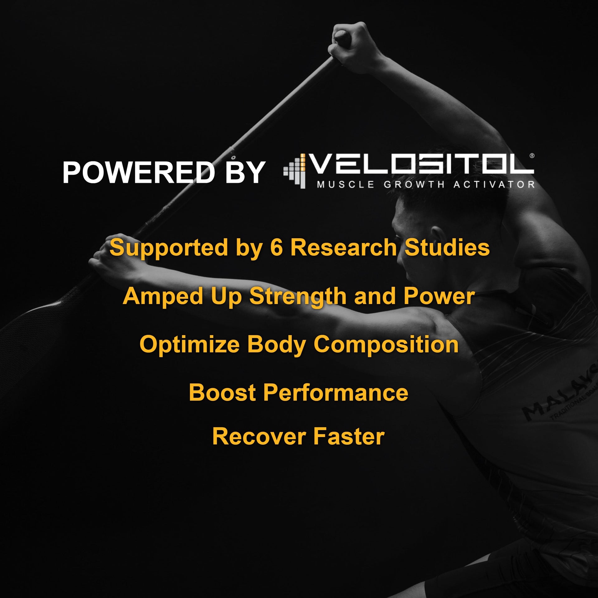 Plant Based Sport Protein For Active Fitness Support