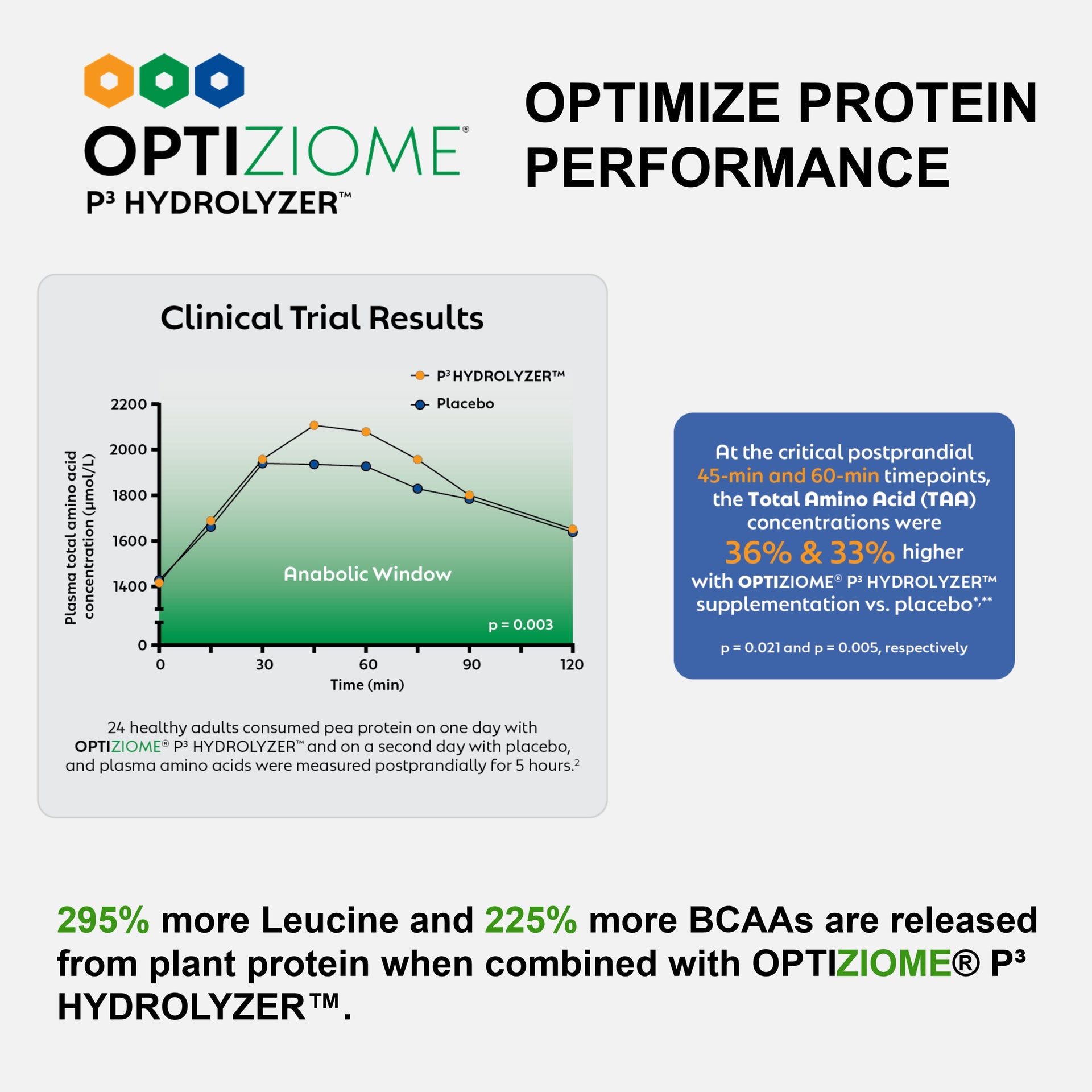 Plant Based Sport Protein For Active Fitness Support