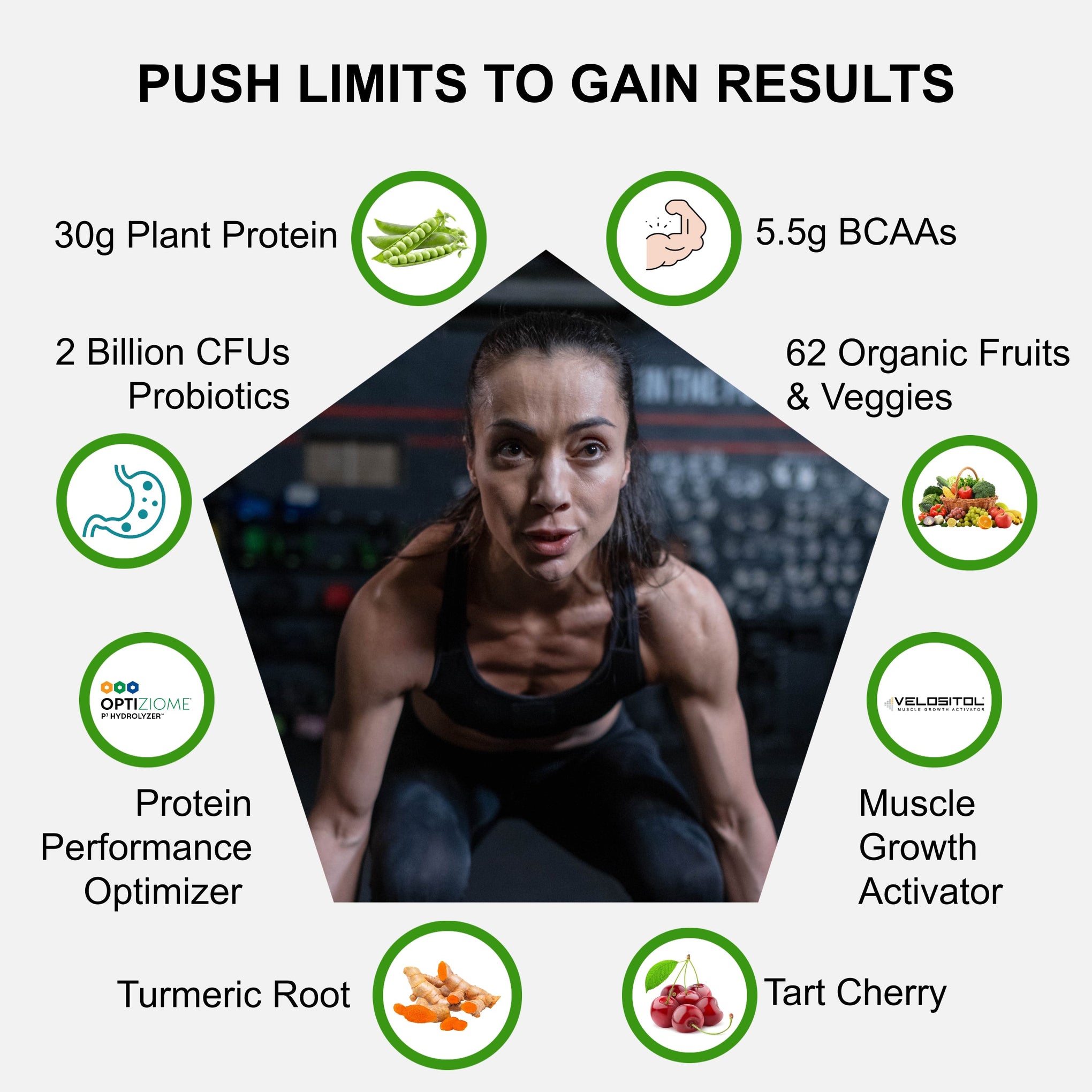 Plant Based Sport Protein For Active Fitness Support